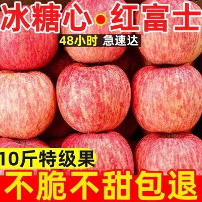 爆甜】红富士新鲜水果新鲜苹果冰糖心大果孕妇丑苹果一整箱批发