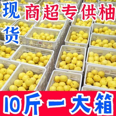 福建台湾黄金葡萄柚当季新鲜孕妇水果爆汁平和柚子西柚整箱批发