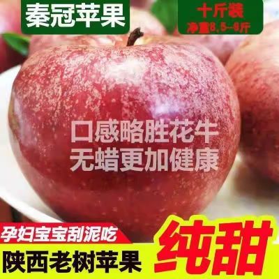 陕西秦冠粉面苹果当季新鲜水果脆甜丑冰糖心苹果3-10斤一整箱批发