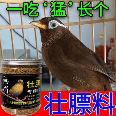 画眉食饲料【猛长个】画眉王营养壮膘料提性收身催鸣上性手工鸟食