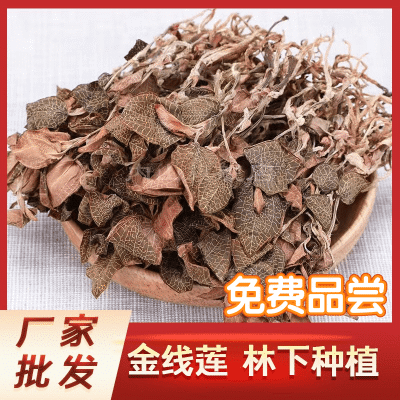 正宗福建南靖金线莲林下种植干品250g/500g厂家直销干货新鲜烘烤