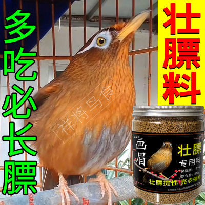 画眉壮膘饲料【不吃包退】提性增肥壮膘美毛营养正品画眉专用食