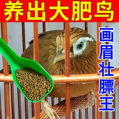 画眉食饲料【不吃包退】高档壮膘提性营养饲料唱鸟斗鸟画眉鸟食