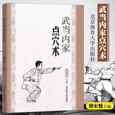 武当内家点穴术武当内功技法武术书籍 点穴与解穴 图文并茂更简单【10月23日发完】