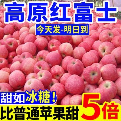 【正宗】爆甜红富士新鲜水果冰糖心丑苹果当季脆甜现摘整箱批发价