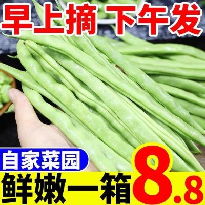 当季四季豆新鲜现摘云南高山露天刀豆芸豆菜时令蔬菜下单