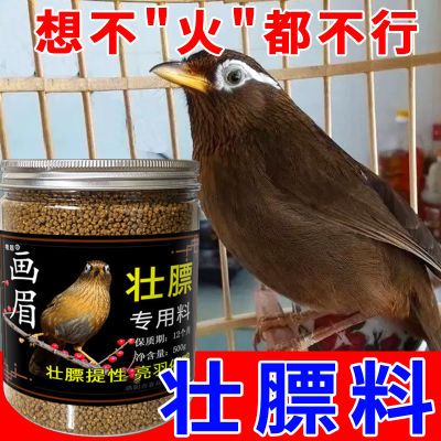 画眉食饲料【不吃退】画眉王营养壮膘料提性收身催鸣上性手工鸟食