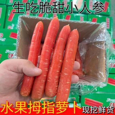 【生吃拇指萝卜】小红萝卜脆甜香新鲜蔬菜现挖自家种红心甜萝卜