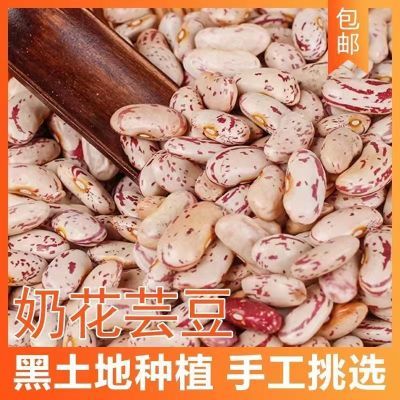 东北黑龙江农家种植奶花芸豆大碴粥豆馅专用饭豆2023年新豆杂粮