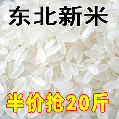 正宗东北稻香米2023年新米五常大米批发10斤20斤特级东北大米5斤