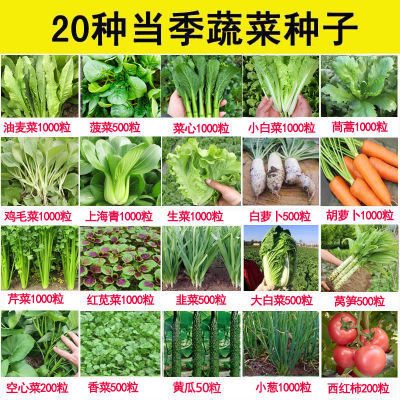 20种蔬菜种子套餐四季易种室内阳台盆栽庭院蔬菜种子大全混装