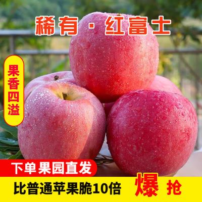 【万人抢】冰糖心丑苹果水果红富士应季新鲜当季批发整箱彩箱脆甜