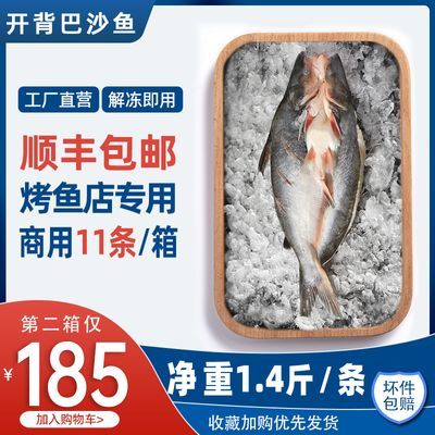 新鲜巴沙鱼批发开背湄公鱼活鱼冷冻烤鱼鲜活顺丰整箱装商用特惠