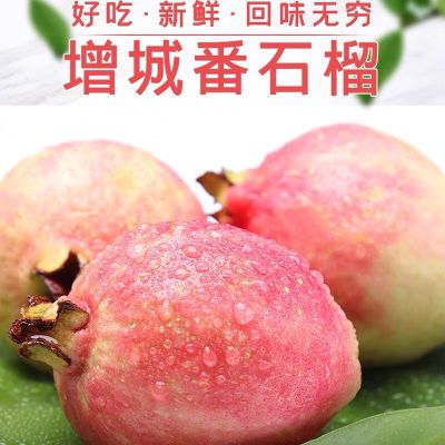 【热卖榜】广东增城胭脂红芭乐红心番石榴鸡屎果新鲜应季孕妇水果