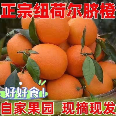 正宗纽荷尔脐橙产地直发赣南脐橙一件包邮孕妇零食特产水果小吃01