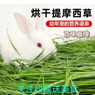 23年提摩西干草垂耳兔专用草食用提莫西兔兔粮食