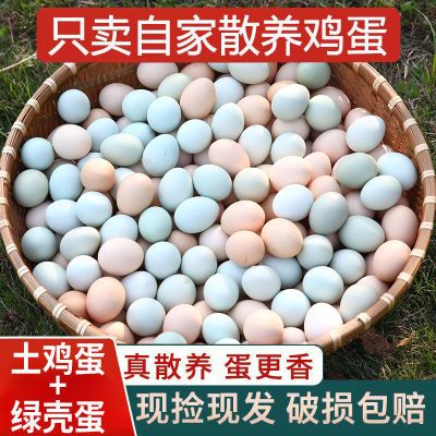 凡人乐 50枚土鸡蛋乌鸡蛋精选农家散养土鸡蛋绿壳蛋整箱礼盒15枚