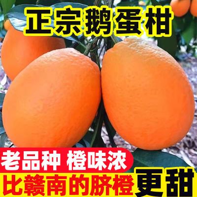 升级鹅蛋柑】比赣南的脐橙更甜10斤正宗新鲜水果冻冰糖手剥橙橙子