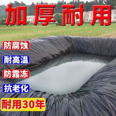 鱼塘防渗膜黑色塑料布土工膜防水布蓄水池特厚藕池防渗水护坡防漏