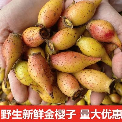 2024新鲜金樱子野生新鲜泡酒料批发斤装金英子果中药材全国包