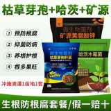 矿源黄腐酸钾农用土壤活化剂枯草芽孢杆菌微生物菌剂哈茨木霉菌