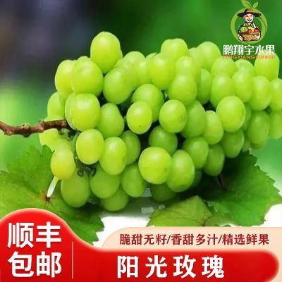 【顺丰包邮水果】新鲜阳光玫瑰晴王葡萄无籽脆甜小果整箱应季水果