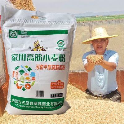 特农汇内蒙古鑫乐家用高筋小麦粉河套硬质红小麦绿色食品高筋面粉