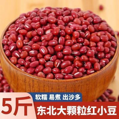 2023新非转基因红小豆正宗东北红豆出沙煮粥豆包打豆浆批发商