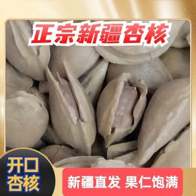 正宗新疆杏核开口小银杏奶香味新疆直发果仁饱满休闲零食即食