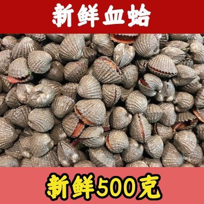 温州蛤蜊血蛤鲜活正宗野生新鲜毛蚶贝壳花甲海鲜贝类水产500