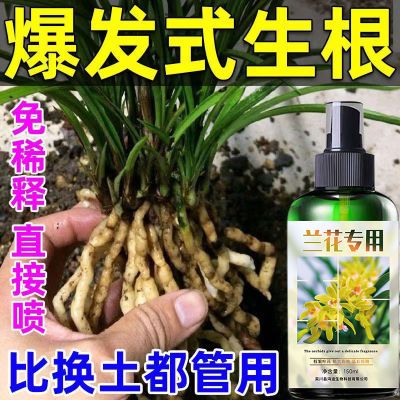 【爆芽快】兰花专用肥料防黄叶烂根空根催芽催花兰草花专用营养液