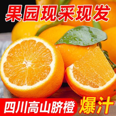 正宗四川高山脐橙应季新鲜水果甜橙手剥成薄皮多汁大橙子产地包邮