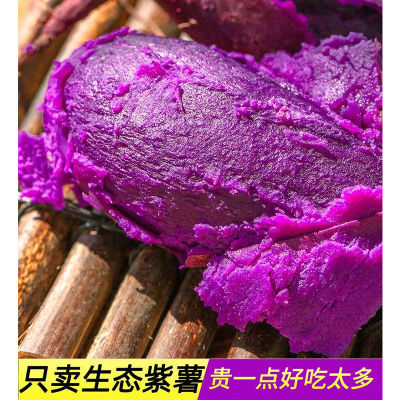 裕禄红紫薯新鲜甜糯 正宗紫薯4.5斤新鲜紫心红薯粉糯香甜番薯5斤