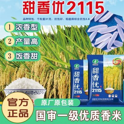 国审甜香优2115高产杂交水稻种子一级米质长粒浓香水稻种子优质稻
