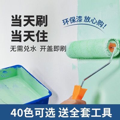 防潮防霉乳胶漆室内家用自刷大白水性硅藻漆墙面翻新改色艺术涂料