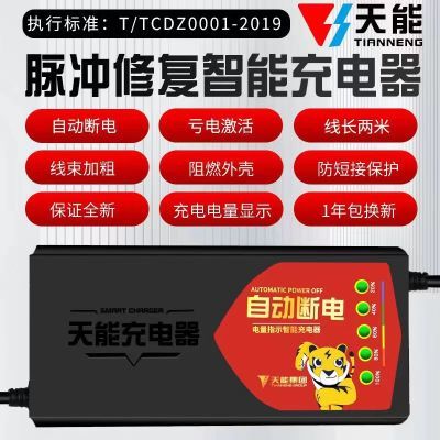 石墨烯电动车电瓶充电器48V12AH60V20AH72V32A爱玛台铃天能超威