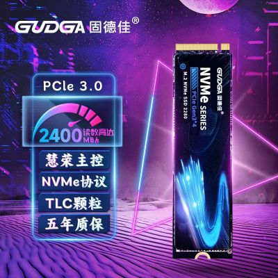 ̵¼GV M.2 NVMe PCIe3.0*4 M2̬ӲSSD 256G ԲTLC