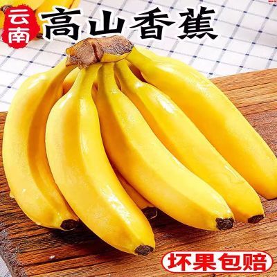 云南高山甜香蕉孕妇新鲜水果当季现摘大芭蕉小米蕉甜香蕉整箱包邮