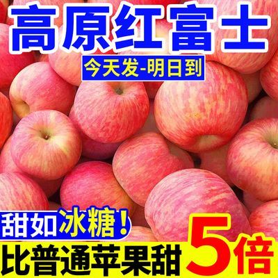 【新鲜水果】脆甜冰糖心红富士丑苹果应季当季时令水果一整箱批发