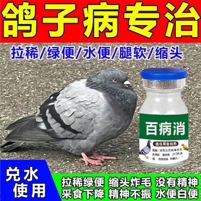 鸽子药益生菌百益活菌兑水鸽子不吃食没精神鸽子药百病消