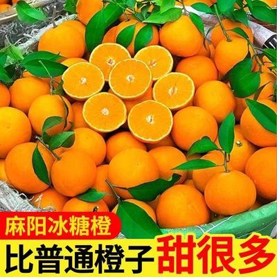 【现摘现发】湖南麻阳冰糖橙当季时令新鲜水果麻阳超甜手剥橙子