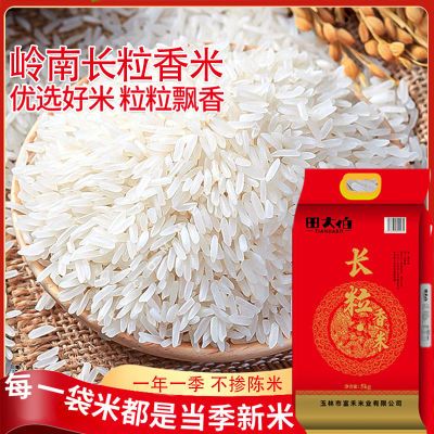 长粒香大米丝苗米猫牙米泰国香米煲仔饭专用米当季大米10斤籼米