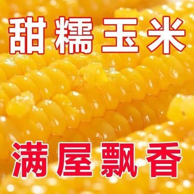 黄金甜粘糯大棒玉米香甜糯玉米种子黄糯粘玉米种子蔬菜种子四季播
