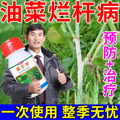 油菜烂杆专用药油菜病全治烂根黄叶菌核病软腐病霜霉病专用杀菌剂