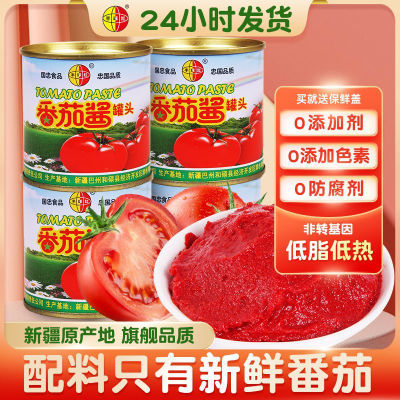 【23年新货】4罐新疆半球红番茄酱家庭装无添加纯蕃茄膏0脂肪儿童