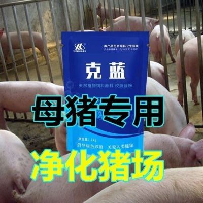 克蓝正品净化蓝耳圆环伪狂猪瘟猪用抗病力消炎强效促发情母猪保健