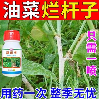 油菜烂杆专用药油菜病全治烂根黄叶菌核病软腐病霜霉病专用杀菌剂