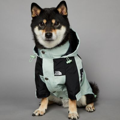 秋冬洋气新款宠物防风防雨冲锋衣中大型犬狗狗雨衣衣服外套