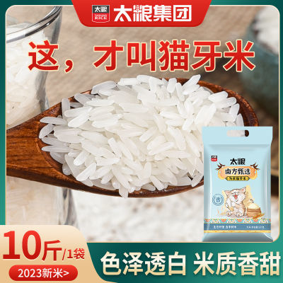 太粮猫牙米5kg象牙香米长粒香软新米10斤大米晚稻煲仔饭米正品
