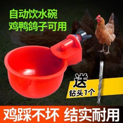 家禽网红自动饮水器小鸡小鸭鹅鸽子鹌鹑自动饮水碗喂鸡自动饮水器